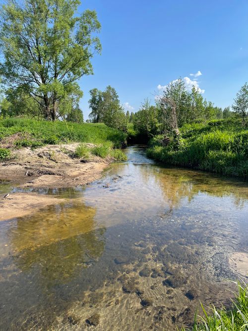 Free Clear stream meandering through a vibrant green landscape under a bright blue sky. Stock Photo