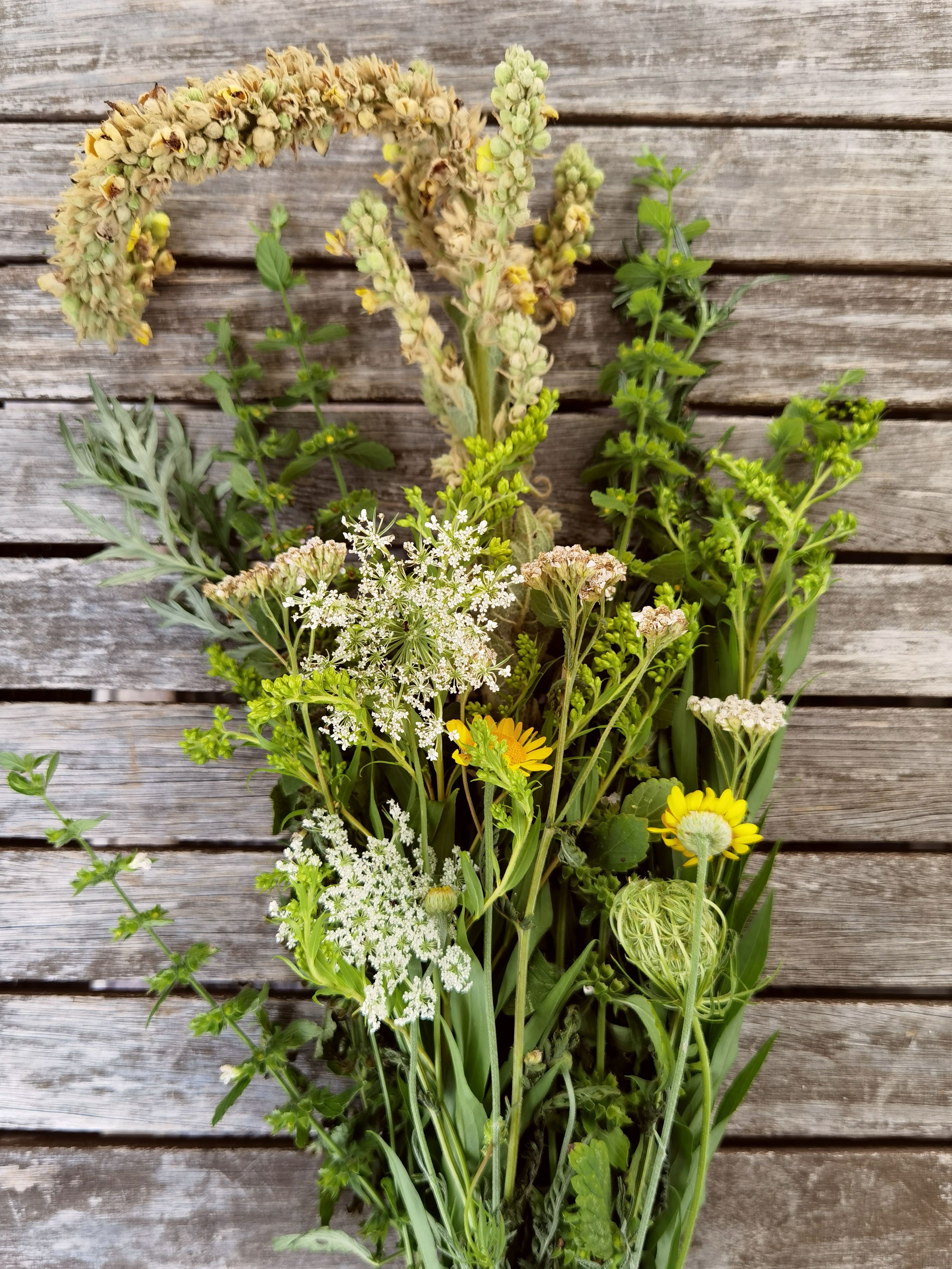 Plant Edibles Among Flowers