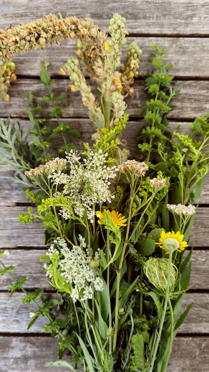Plant Edibles Among Flowers