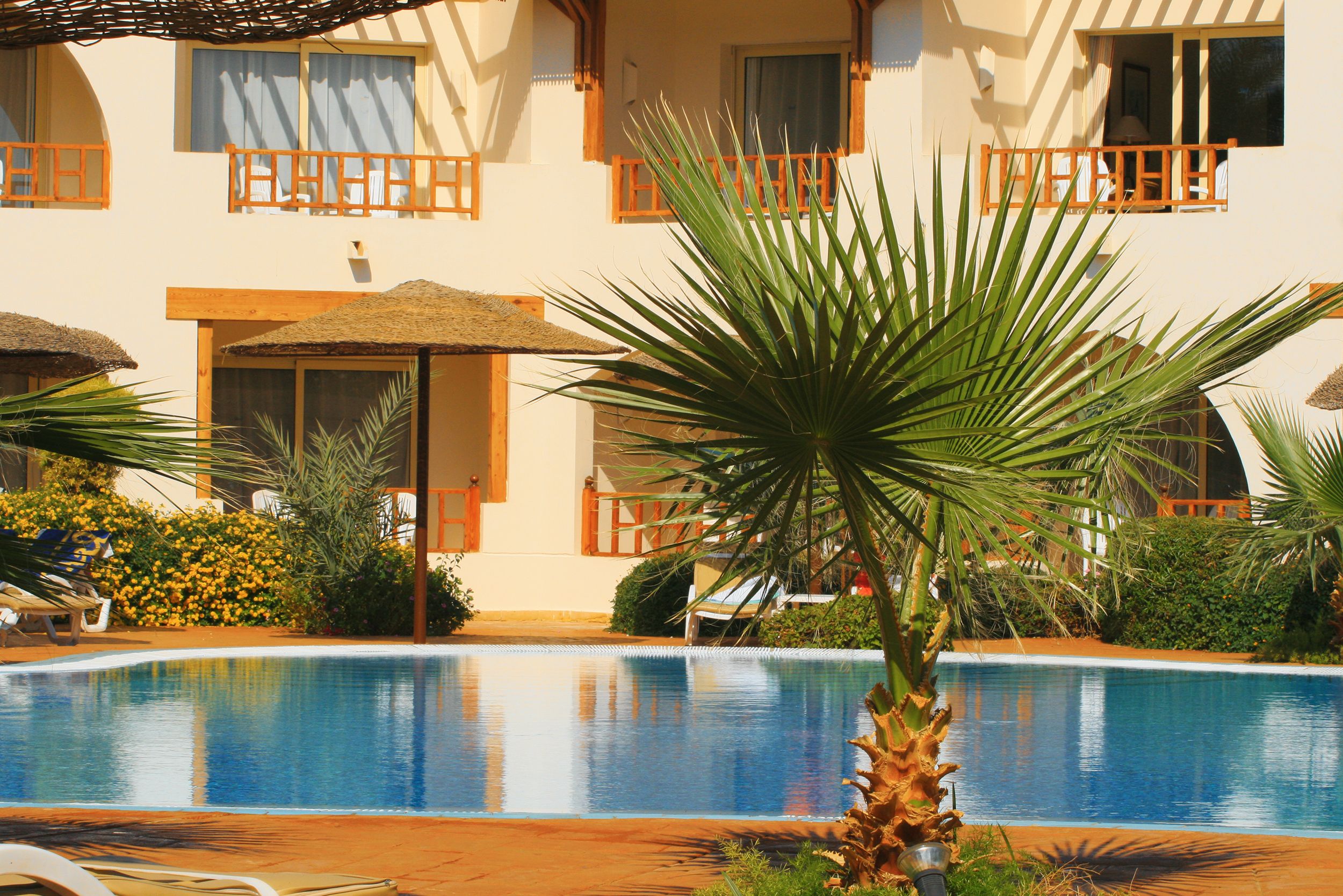 Sunny resort pool with palm trees and straw parasol, reflecting a tropical vacation vibe.