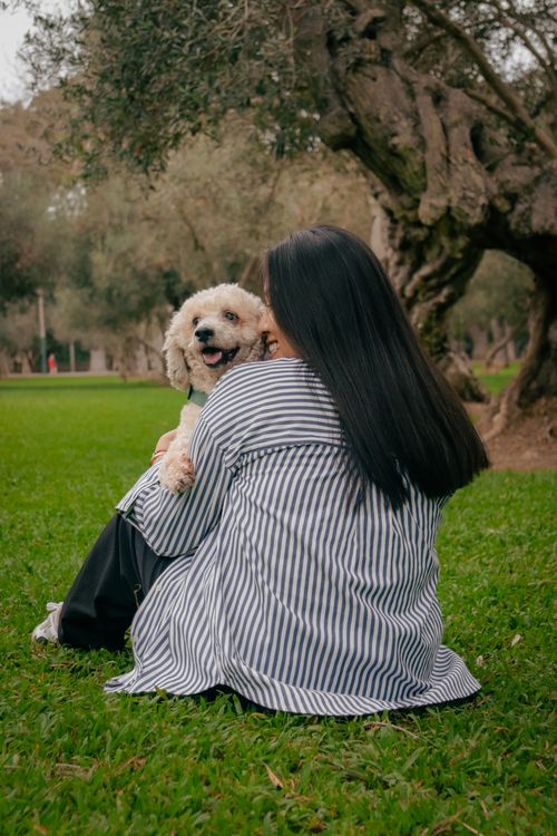 Free Woman embracing a happy dog in a lush green park, showcasing love and tranquility. Stock Photo