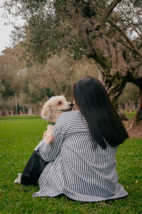 Free Woman sitting with poodle under an old tree in a park, exuding tranquility. Stock Photo