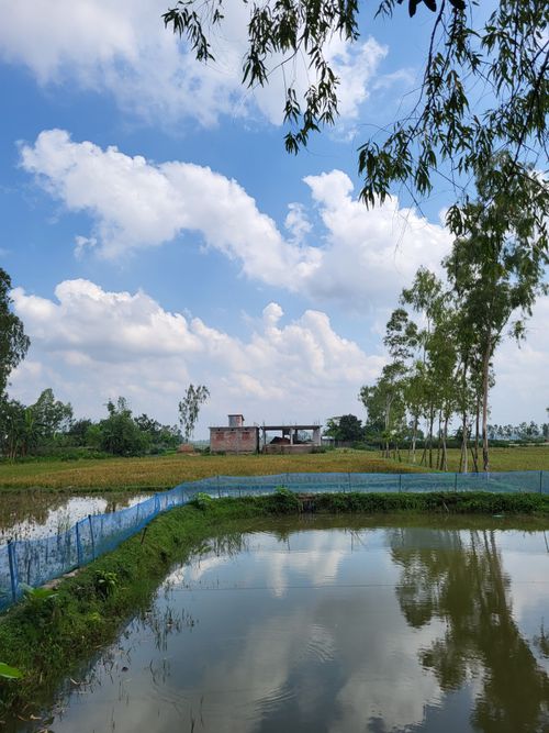 Free Serene view of rural landscape with pond and sky in Dinajpur, Bangladesh. Stock Photo