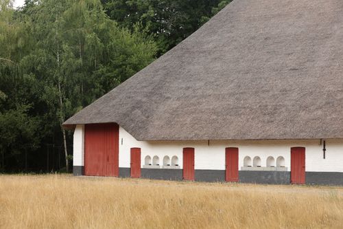 Free Charming rural barn with a large thatched roof set against lush greenery in the countryside. Stock Photo