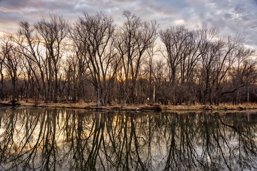 Free Dramatic winter sunset reflecting on a calm river surrounded by leafless trees in Wabasha, Minnesota. Stock Photo