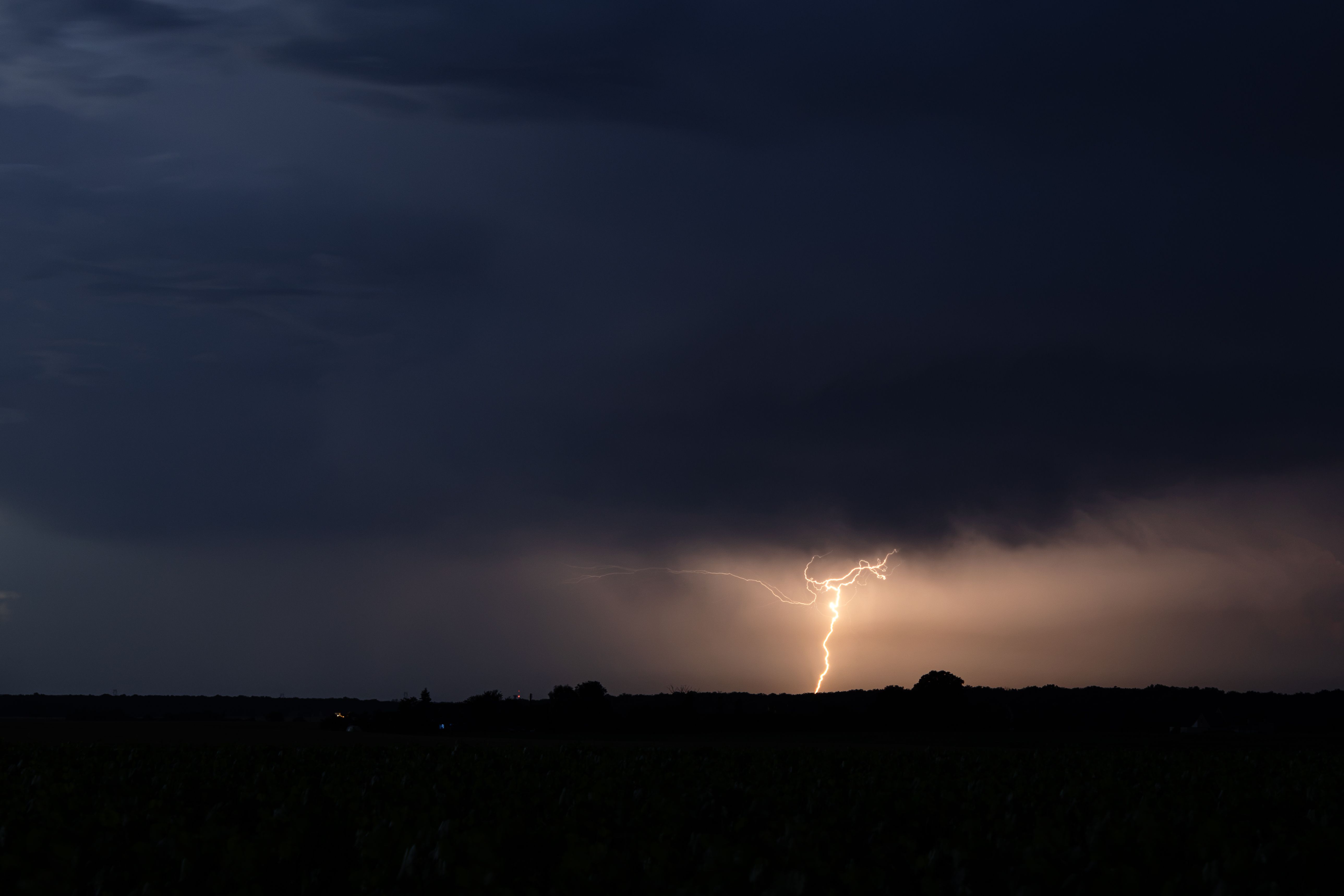 Un arbre déraciné par le vent encombre une rue après le passage d'un orage violent.