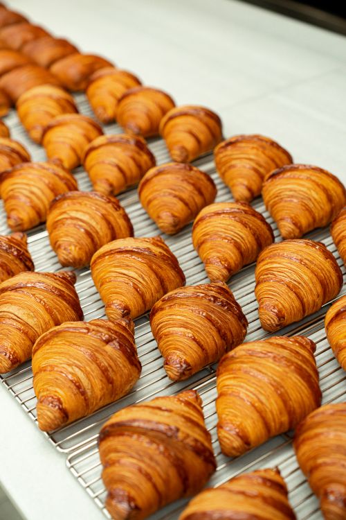 Free Rows of golden croissants cooling, showcasing bakery perfection. Stock Photo