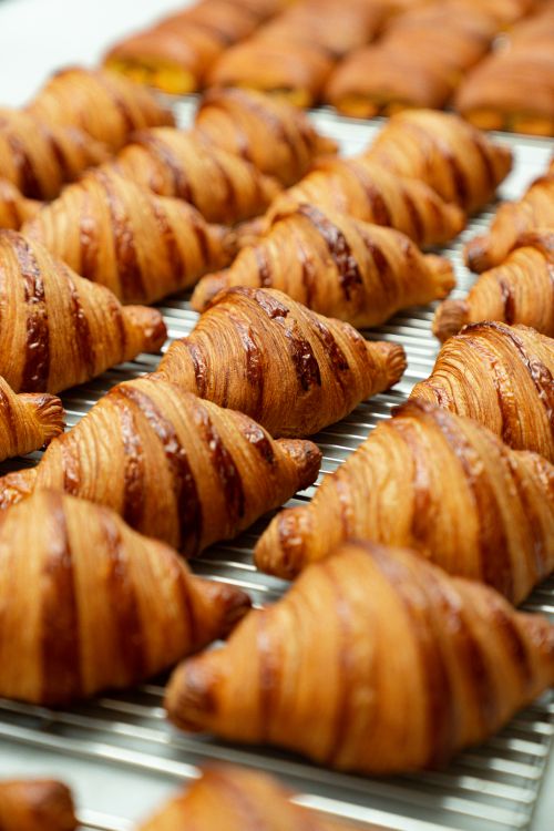 Free Golden croissants cooling on a rack, perfect for breakfast or brunch lovers. Stock Photo