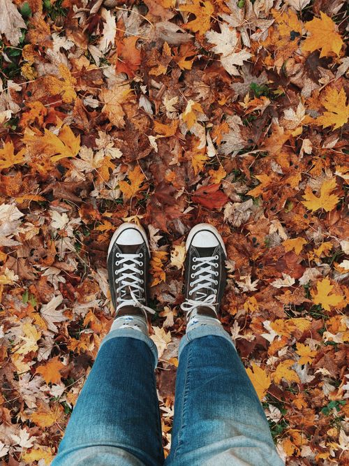 Free High-angle view of sneakers and jeans on vibrant autumn leaves. Stock Photo