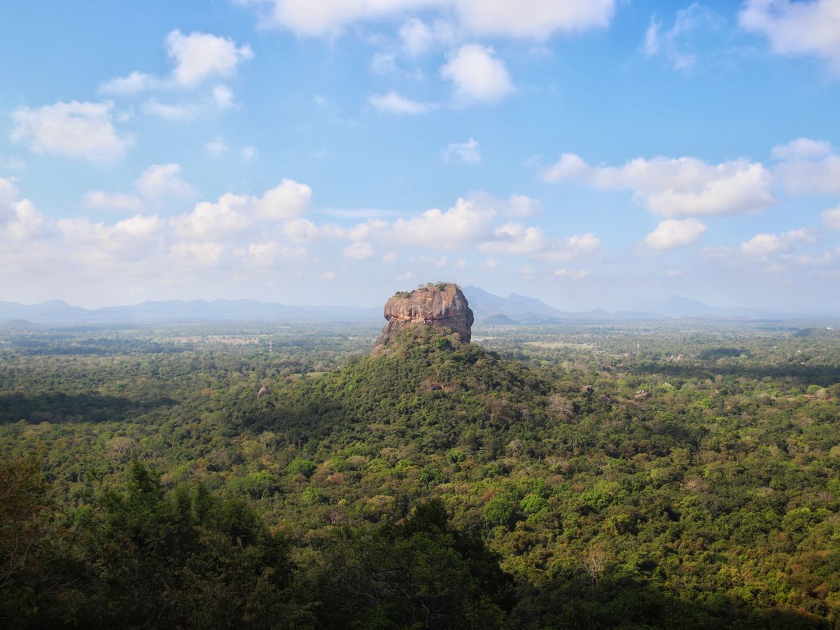 21 Day 300 Hr Embodied Living Yoga Teacher Training in Sri Lanka 2