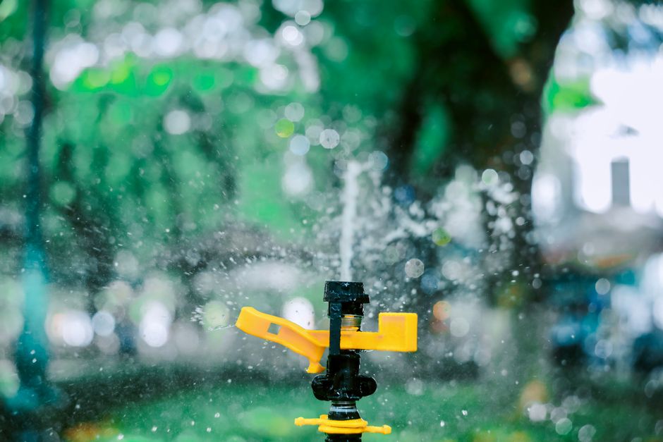 Summer lawn watering rules: How long to run sprinklers during dry spells — cover media