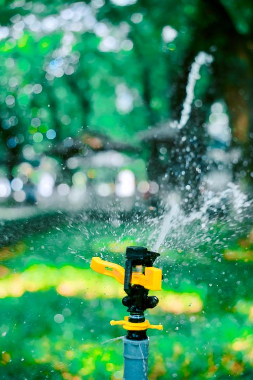 Free Close-up of an active water sprinkler creating a refreshing scene in a lush green garden. Stock Photo