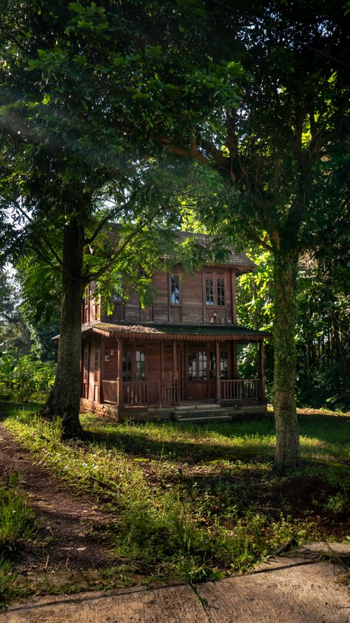 Free A rustic wooden house nestled among lush trees, illuminated by sunlight. Stock Photo