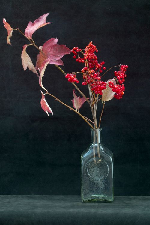 Free Artistic display of red berries and autumn leaves in a glass bottle against a dark background. Stock Photo