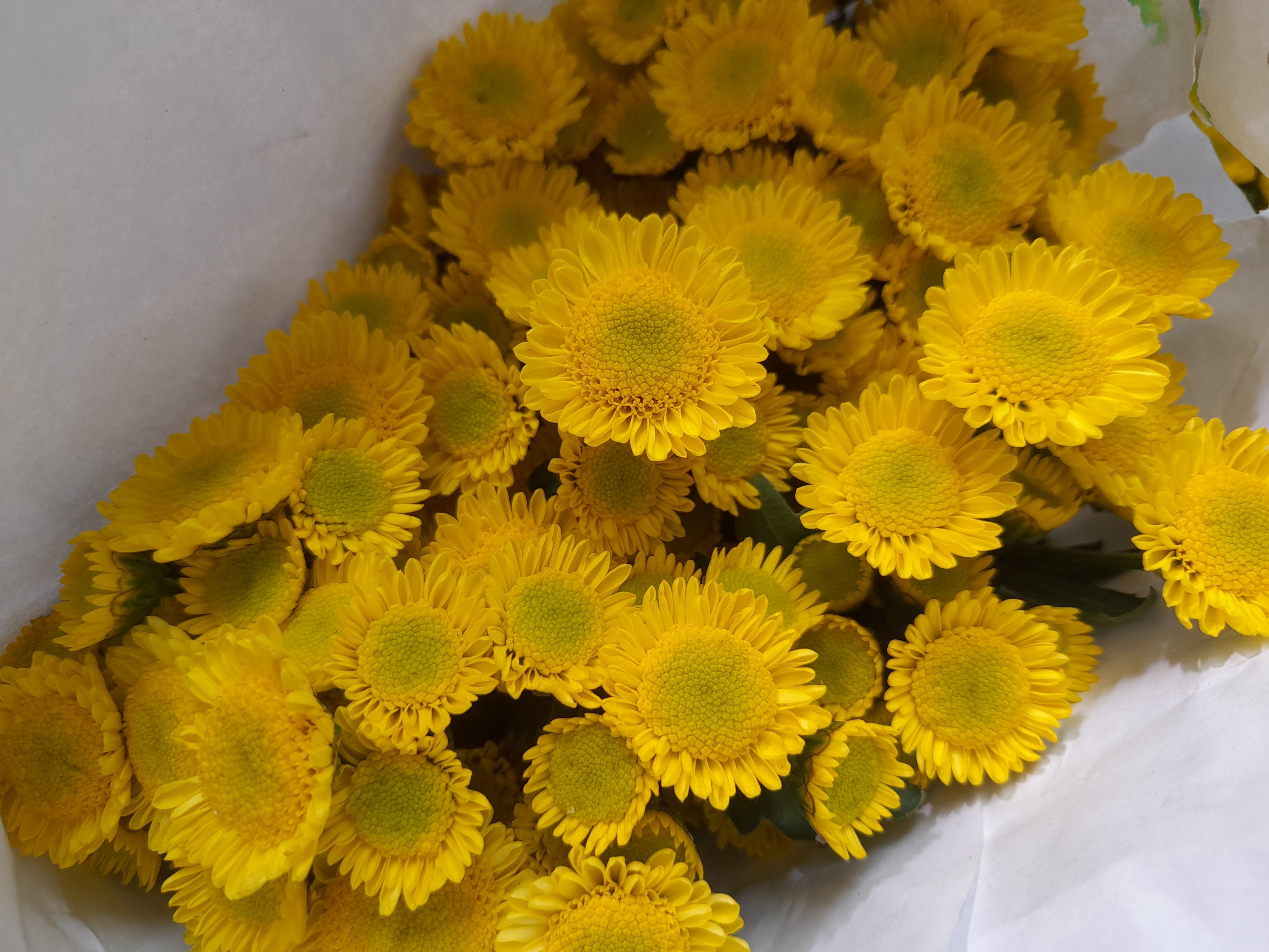 季節の花束
