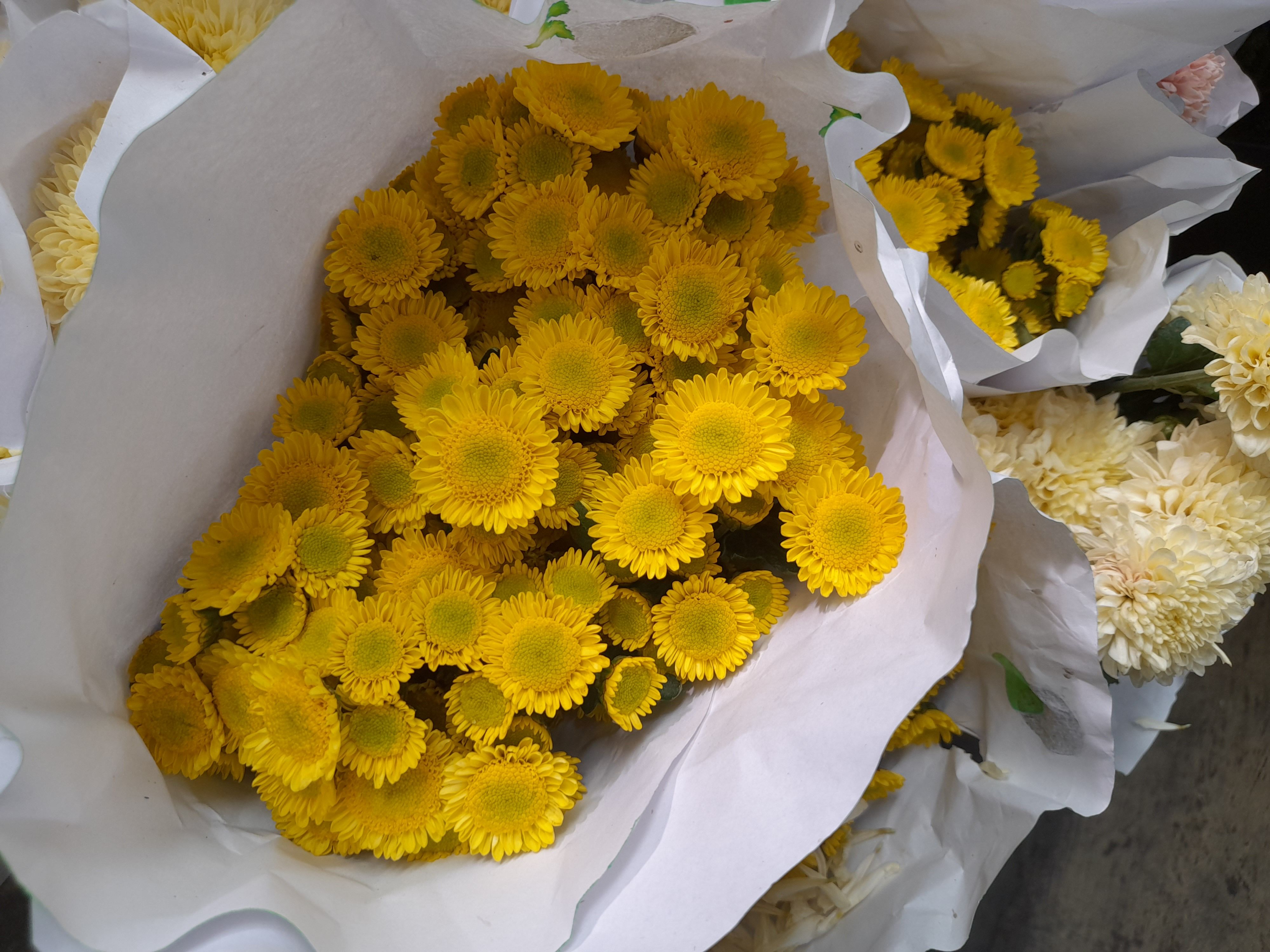 Flowers; cut flowers and flower buds of a kind suitable for bouquets or for ornamental purposes, fresh, dried, dyed, bleached, impregnated or otherwise prepared