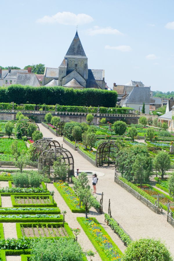 Allées du potager d'ornement menant à l'église de Villandry