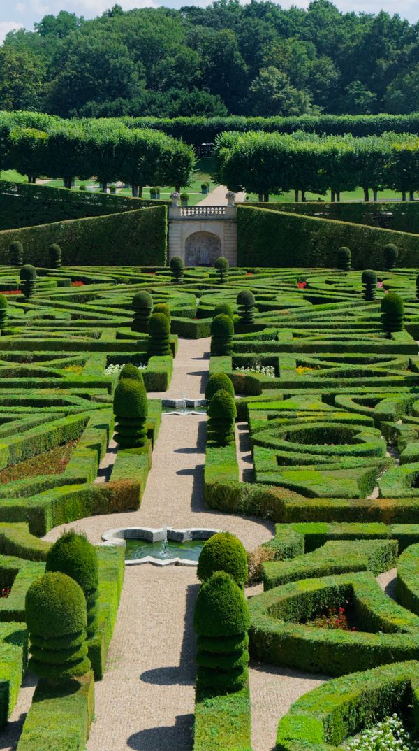 Les motifs élaborés des jardins de Villandry, en Centre-Val de Loire