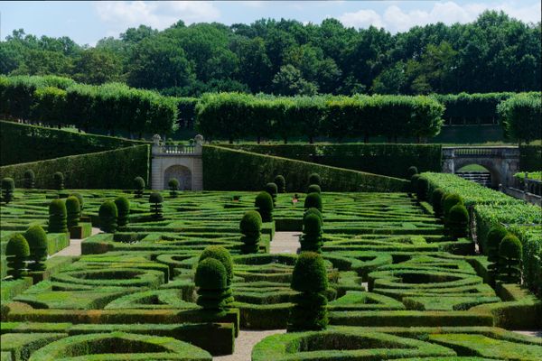 Motifs géométriques des parterres de buis dans les jardins du château de Villandry