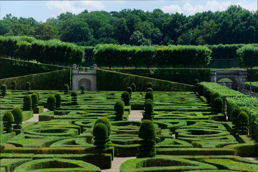 Motifs géométriques des parterres de buis dans les jardins du château de Villandry
