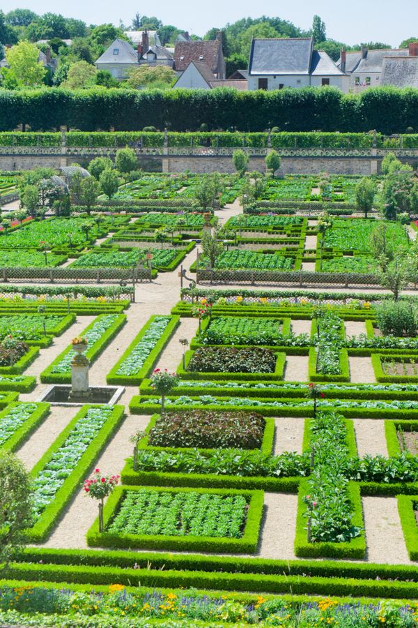 Belle vue aérienne des jardins géométriques du château de Villandry
