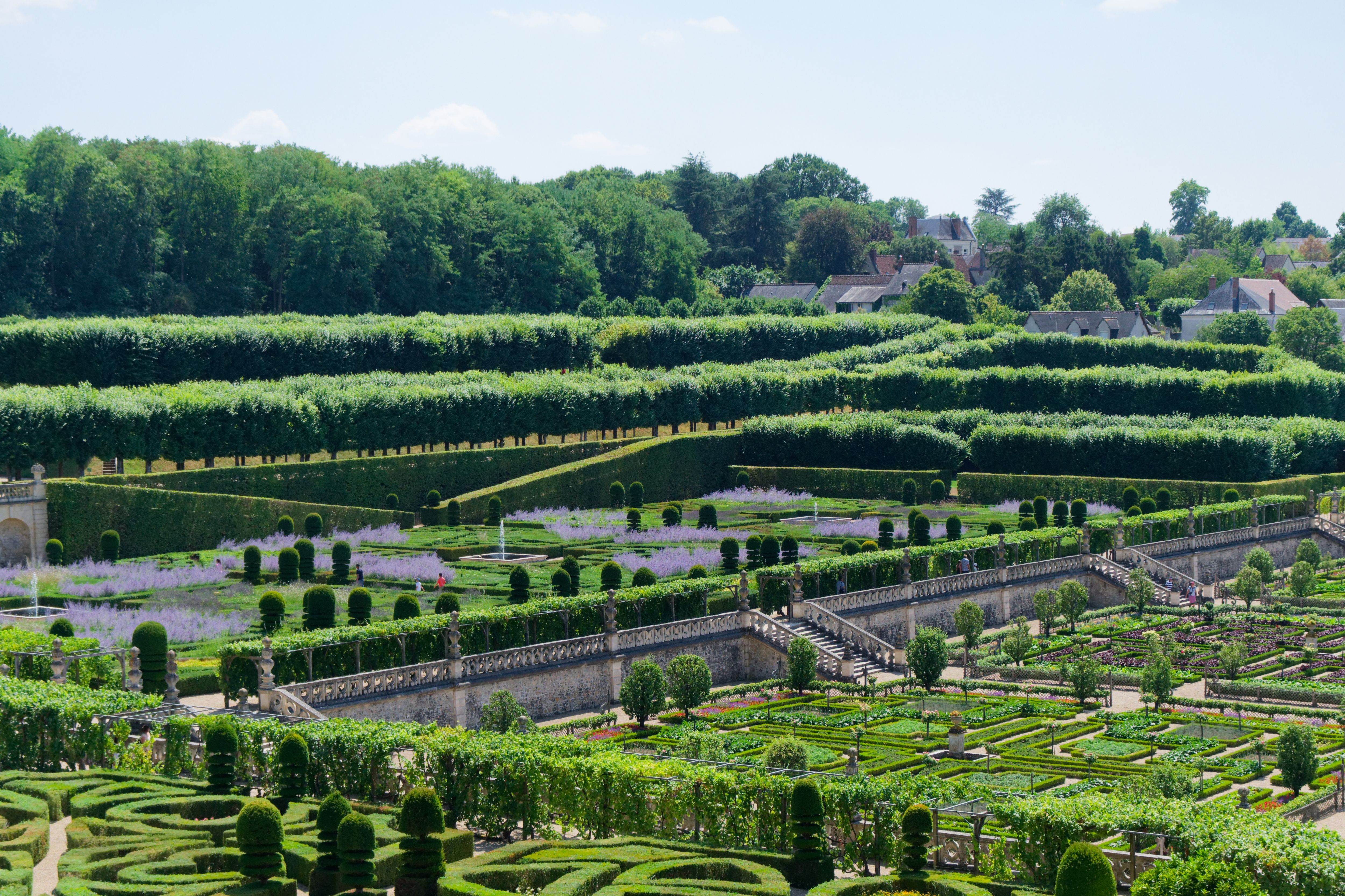 Clipped topiary hedges and pathways in the Hanging Gardens on Malabar Hill with the city beyond