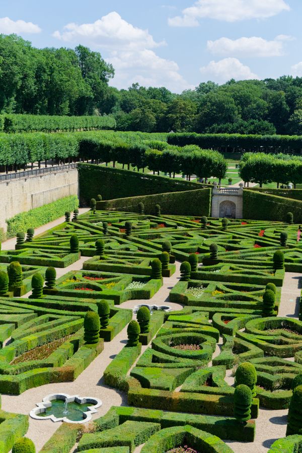 Les motifs raffinés des jardins de Villandry, site patrimonial emblématique