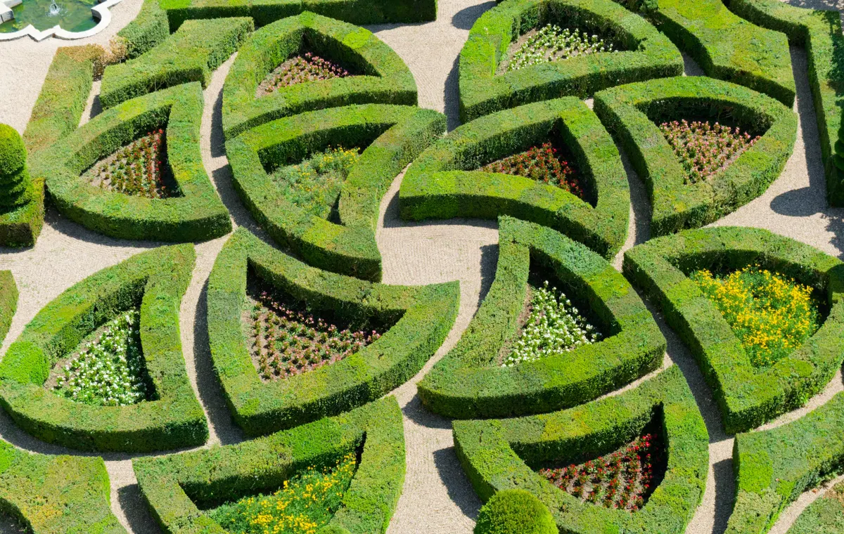 Vue aérienne de jardins d’agrément géométriques avec haies et plantations