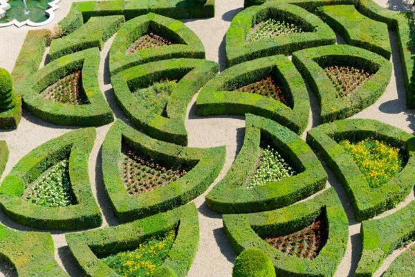 Vue aérienne des jardins aux motifs soignés du château de Villandry