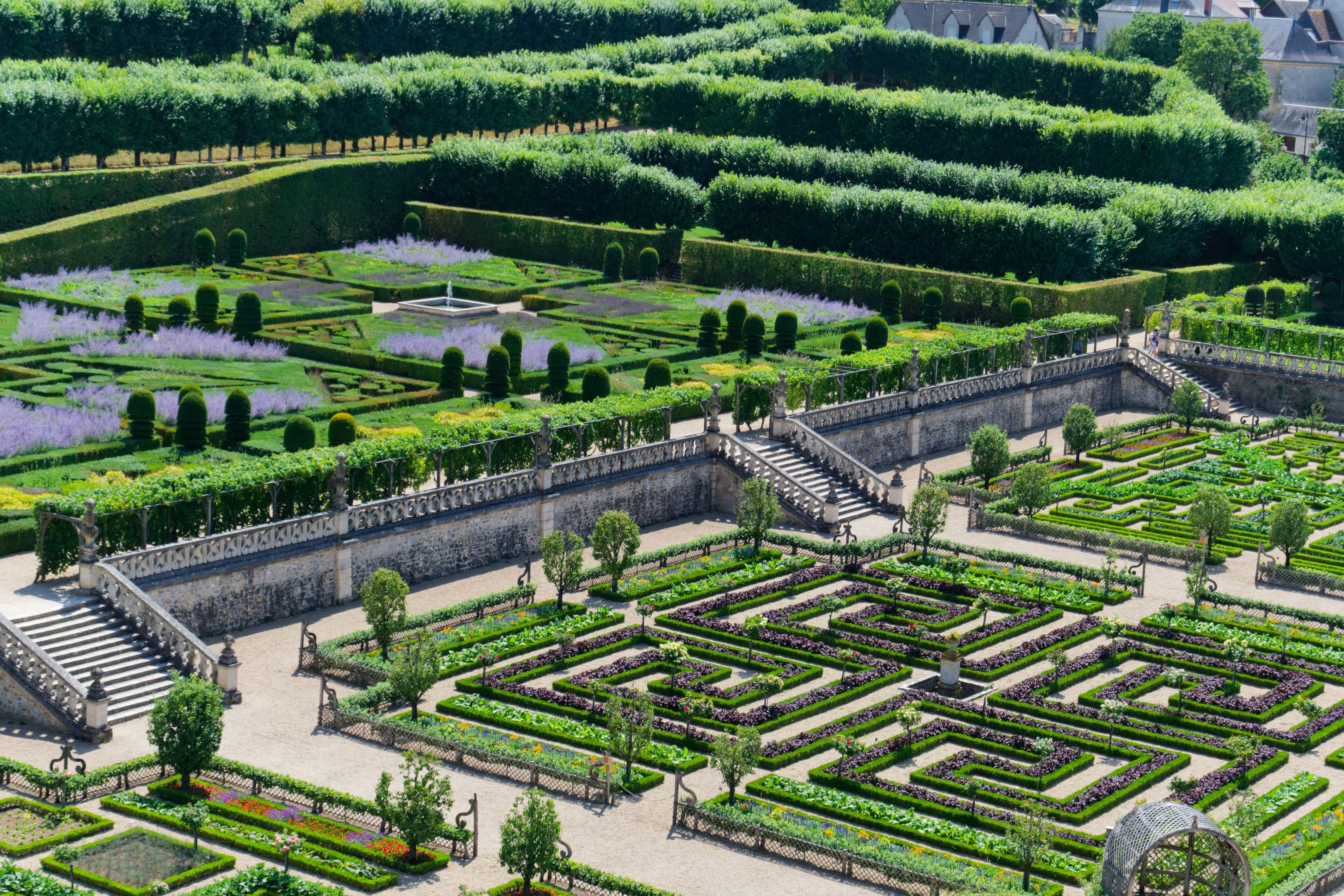 Potager ornemental