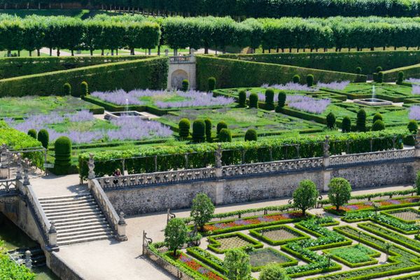 Jardins élégants du château de Villandry, verdure luxuriante et motifs raffinés
