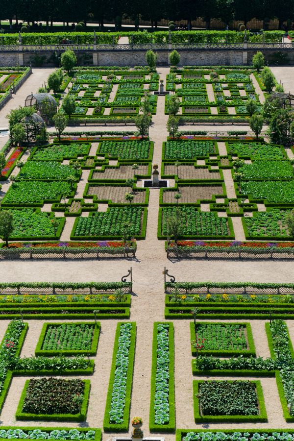 Le potager méticuleusement dessiné du célèbre château de Villandry
