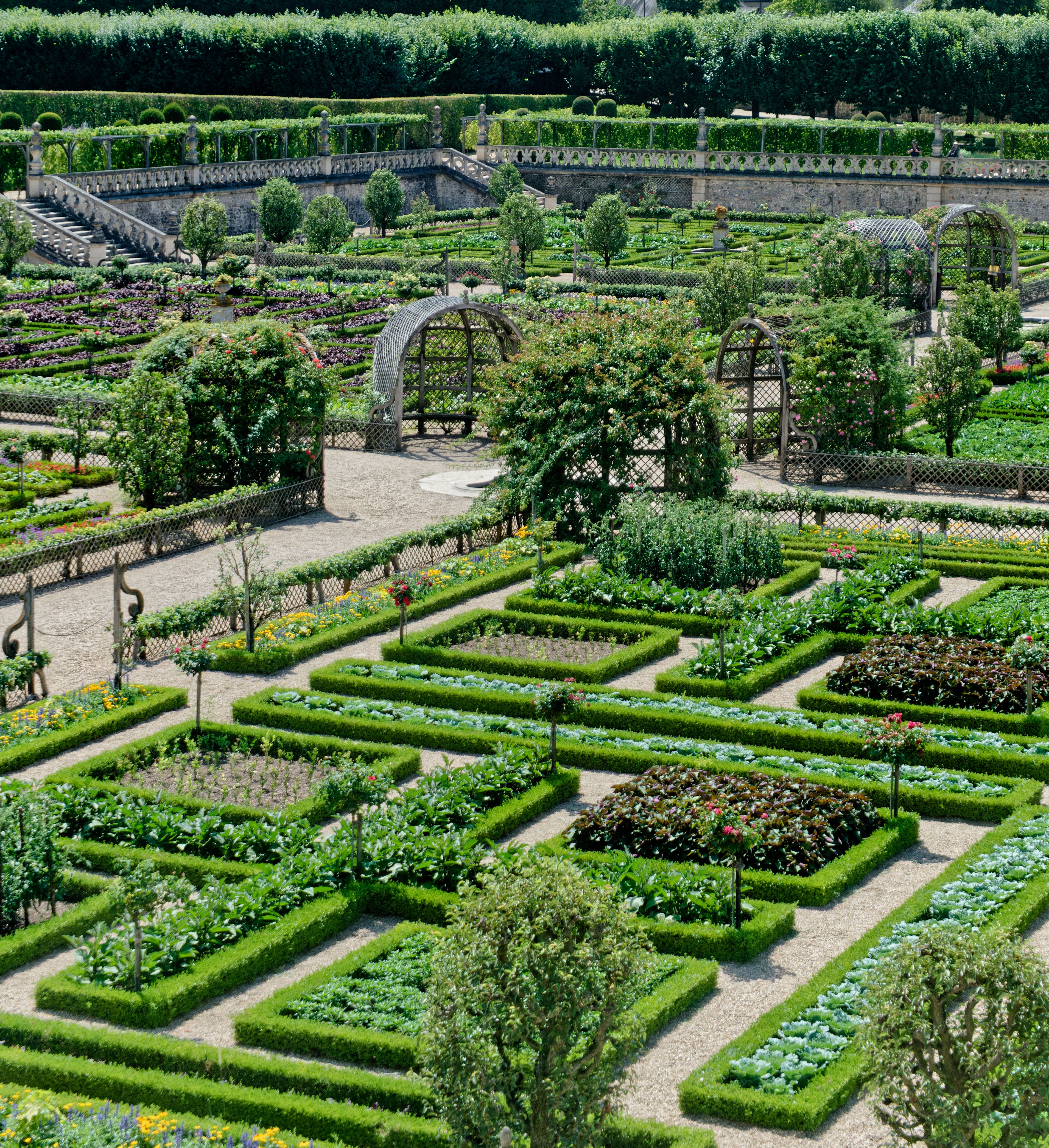 Explore the intricate parterres and lush greenery of Villandry's renowned gardens in France.