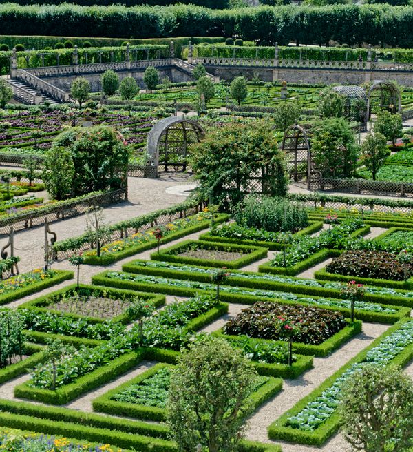 Parterres élaborés et verdure luxuriante des célèbres jardins de Villandry