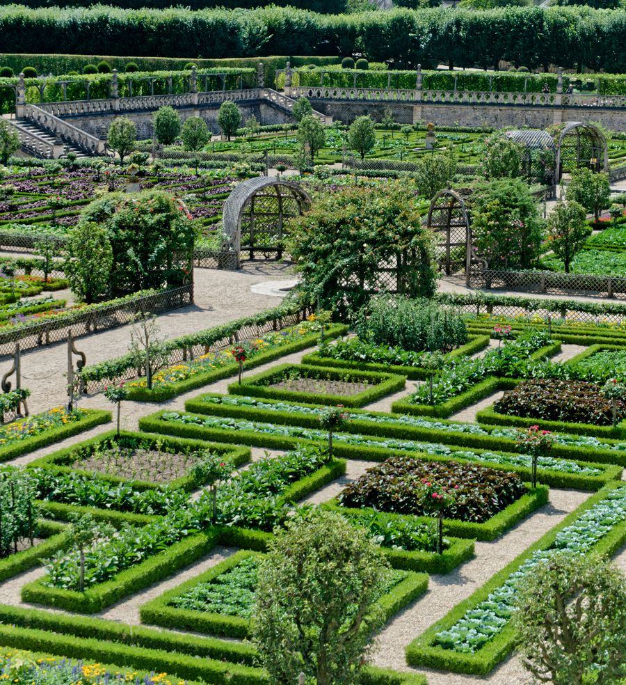 Parterres élaborés et verdure luxuriante des célèbres jardins de Villandry