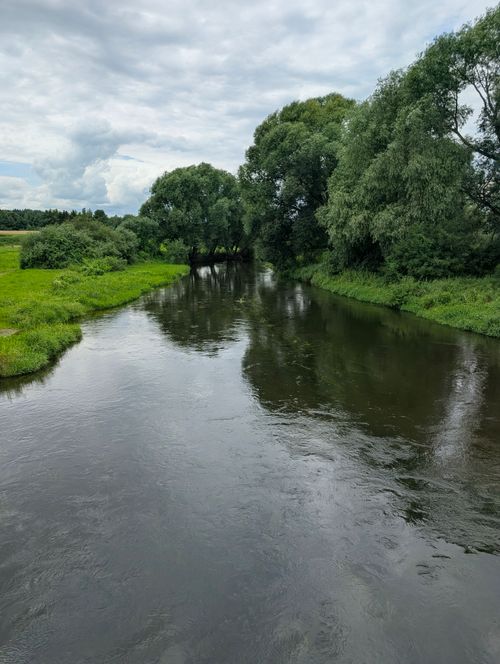 Free A serene river flowing through lush green trees under a cloudy sky, reflecting the peacefulness of nature. Stock Photo