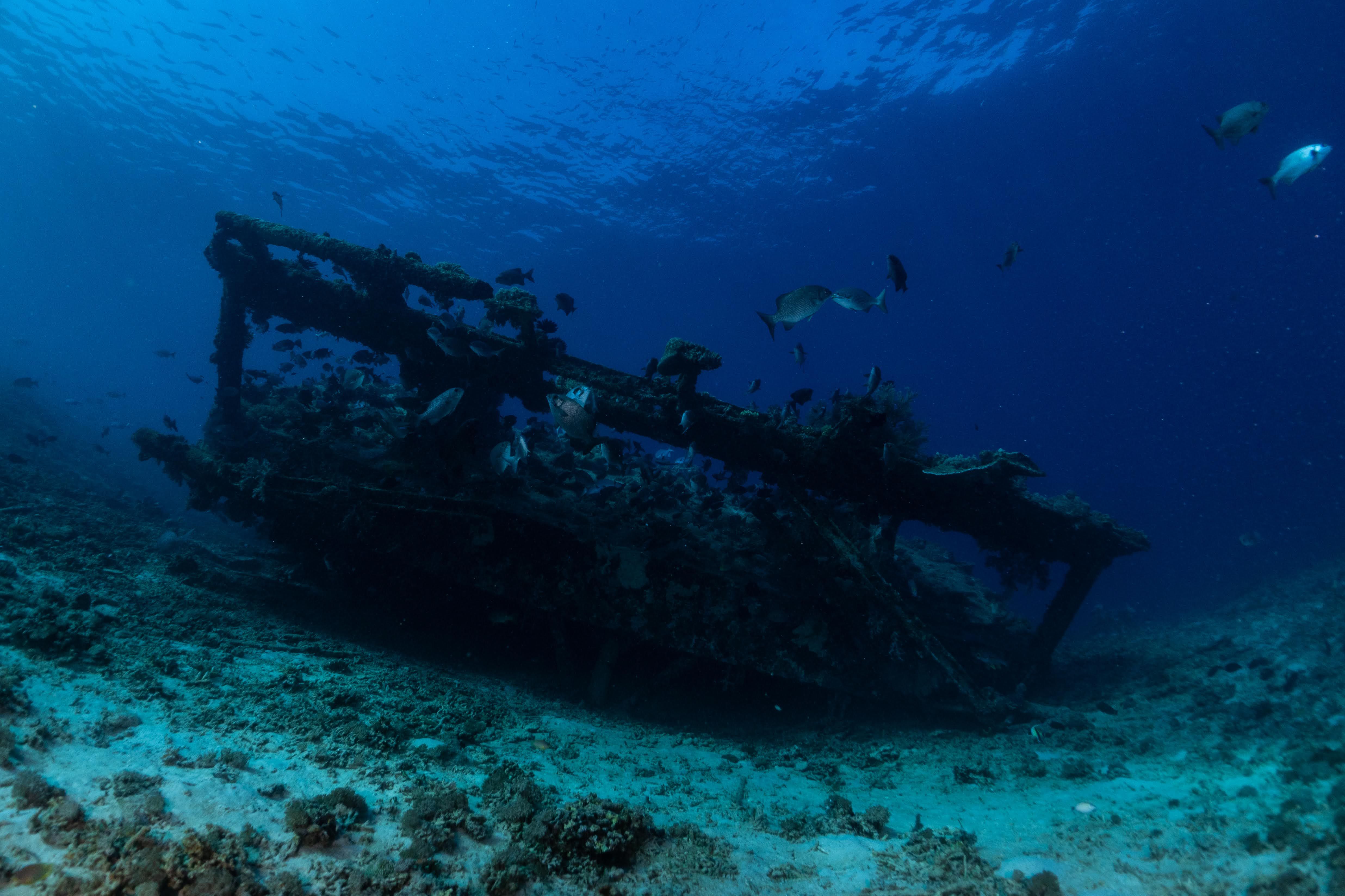 Best Time To Dive in Cayman Islands — Cayman Islands travel guide photo