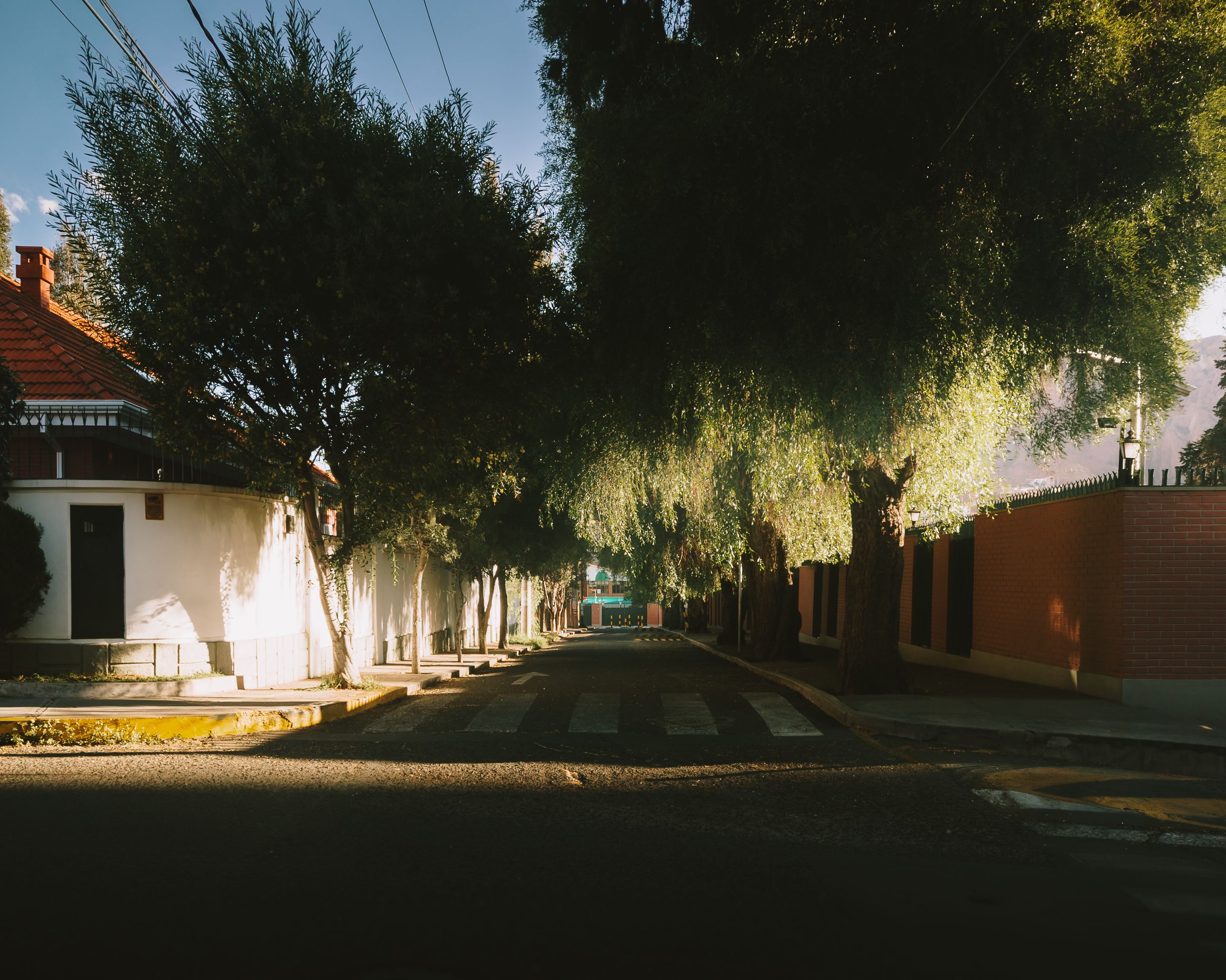 quiet suburban neighborhood street morning light
