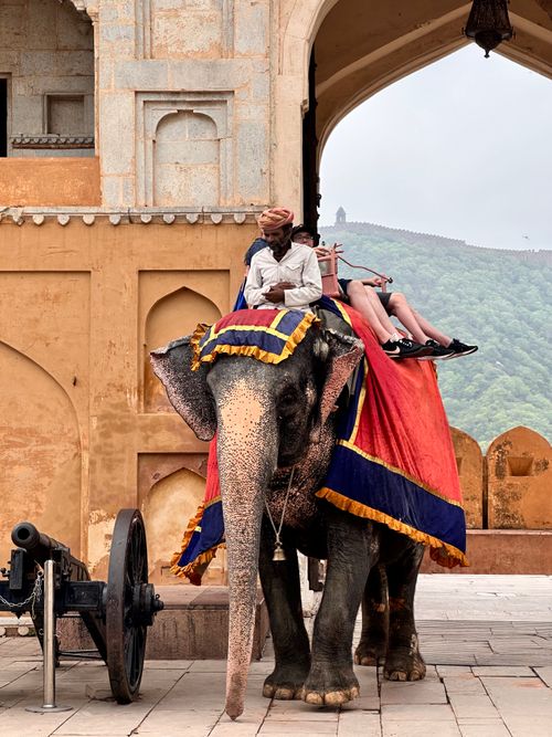 Free Tourists enjoy an elephant ride at the historic Amber Fort in Jaipur, India. Stock Photo