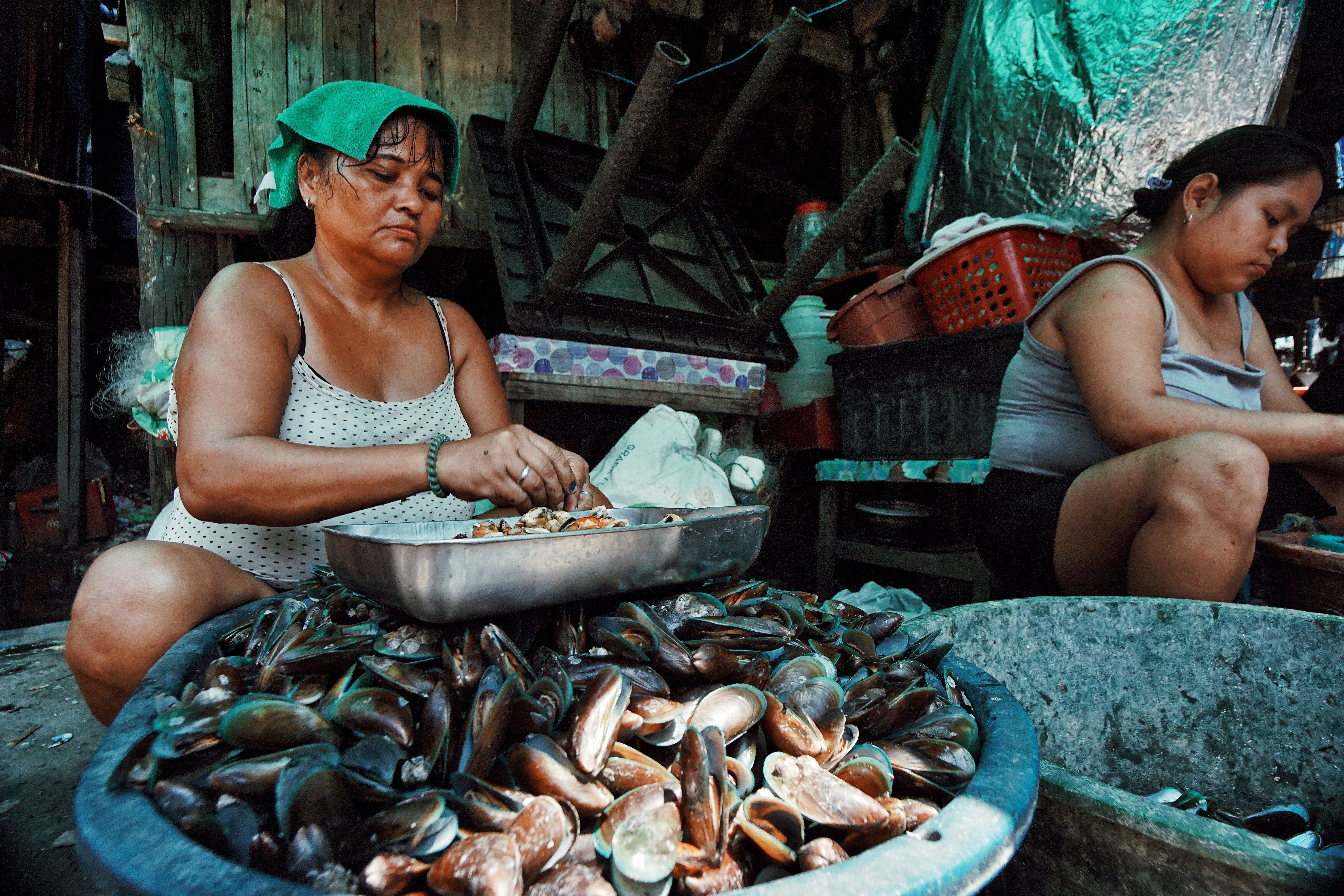 Mollusc preparations; mussels, prepared or preserved