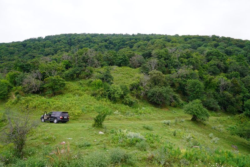 A black off-road vehicle parked in a vibrant green forest field during daytime.