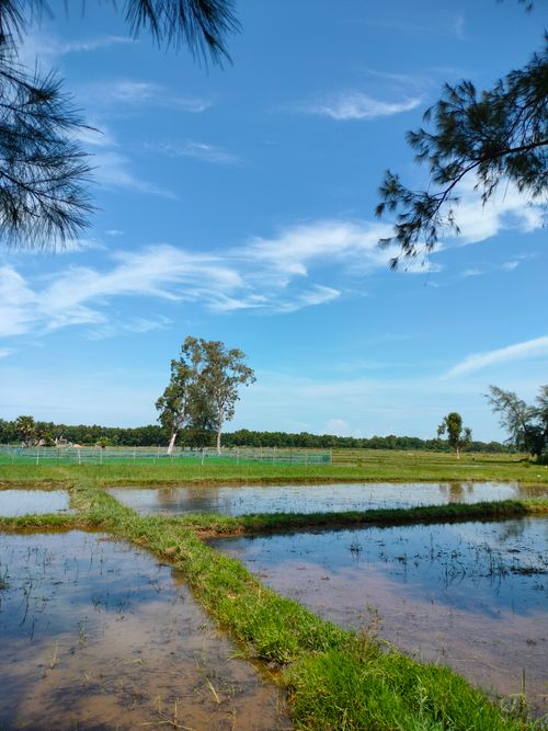 Free A scenic view of an agricultural field reflecting the clear blue sky, creating a peaceful rural landscape. Stock Photo