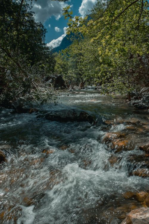 Free Captivating view of a mountain stream flowing through a lush forest under a bright blue sky with clouds. Stock Photo