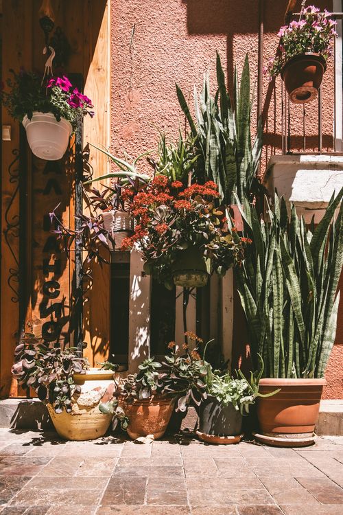 Free Beautiful patio with various potted plants in sunlight. A cozy and inviting outdoor space. Stock Photo