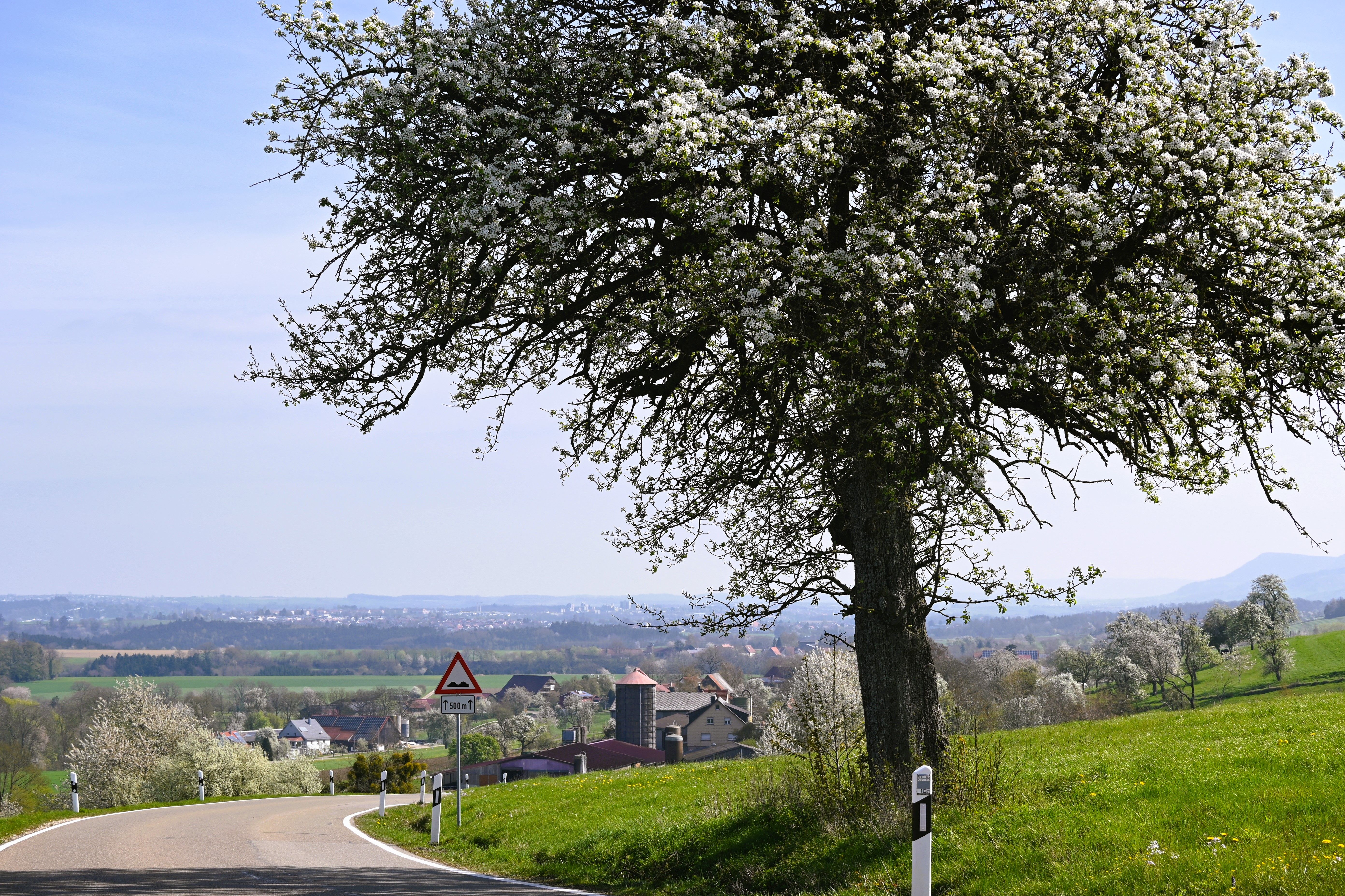 Paasdorf