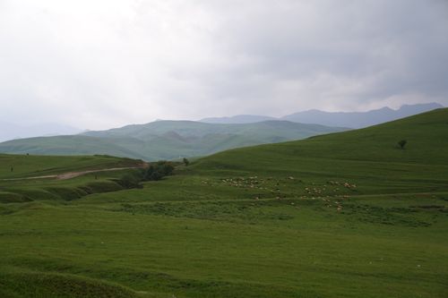 Free Vast green hills with a flock of sheep grazing under a cloudy sky. Serene and picturesque landscape. Stock Photo