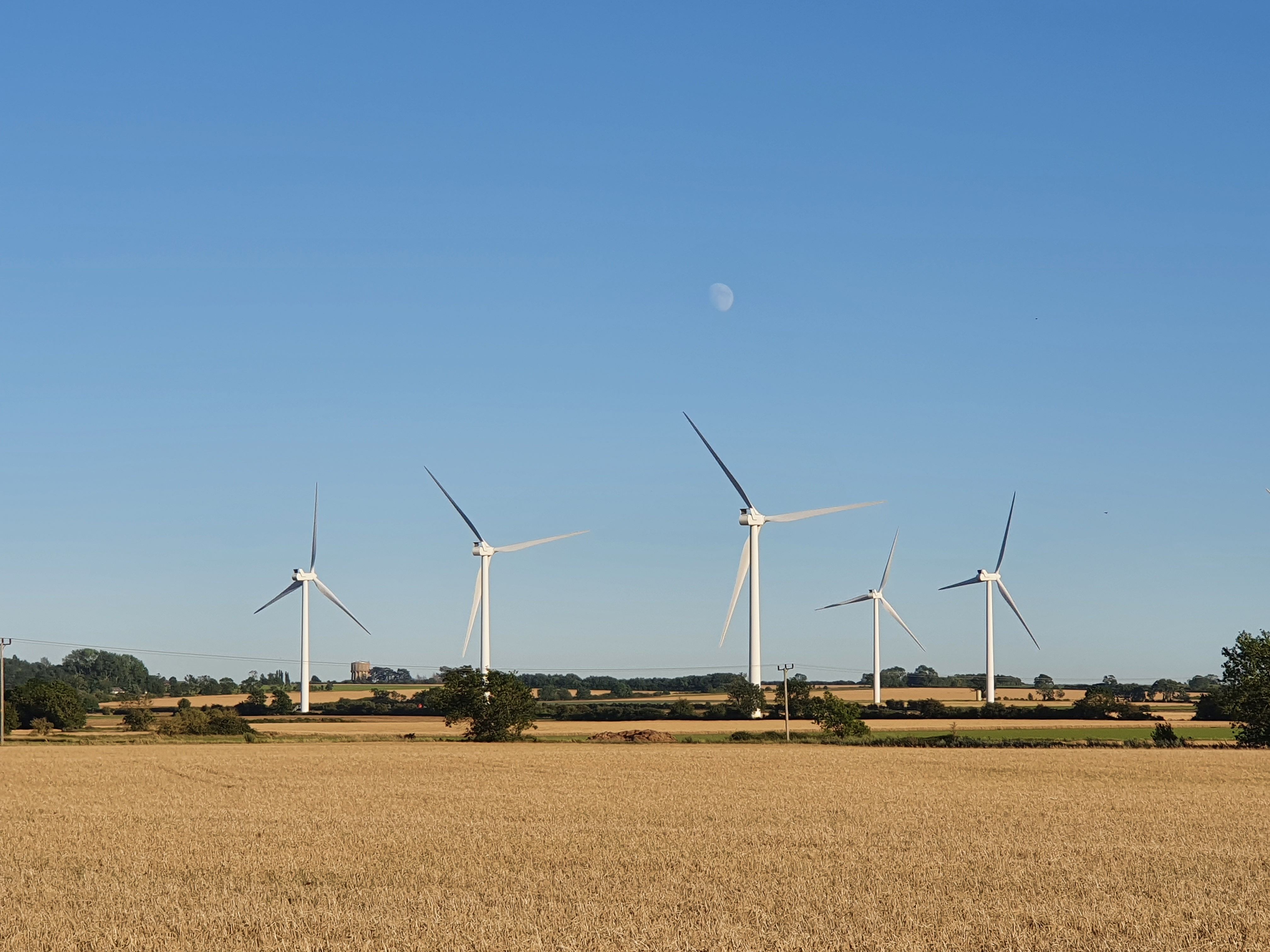 Scenic view of wind turbines in a wheat field under a clear blue sky.