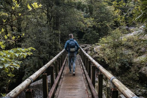 Free Traveler walks across a lush forest bridge in Yakushima, showcasing natural beauty and adventure. Stock Photo