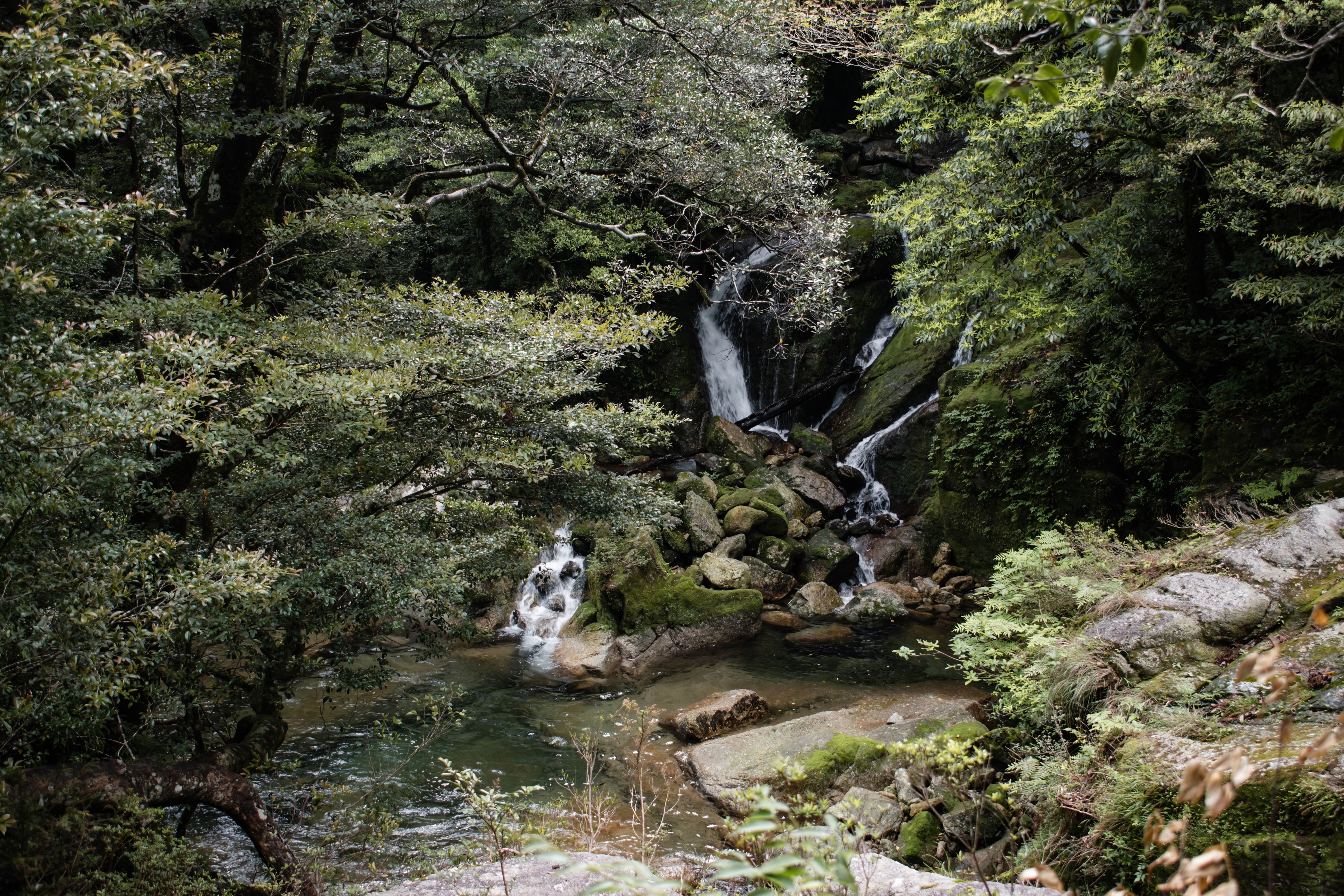 Yakushima