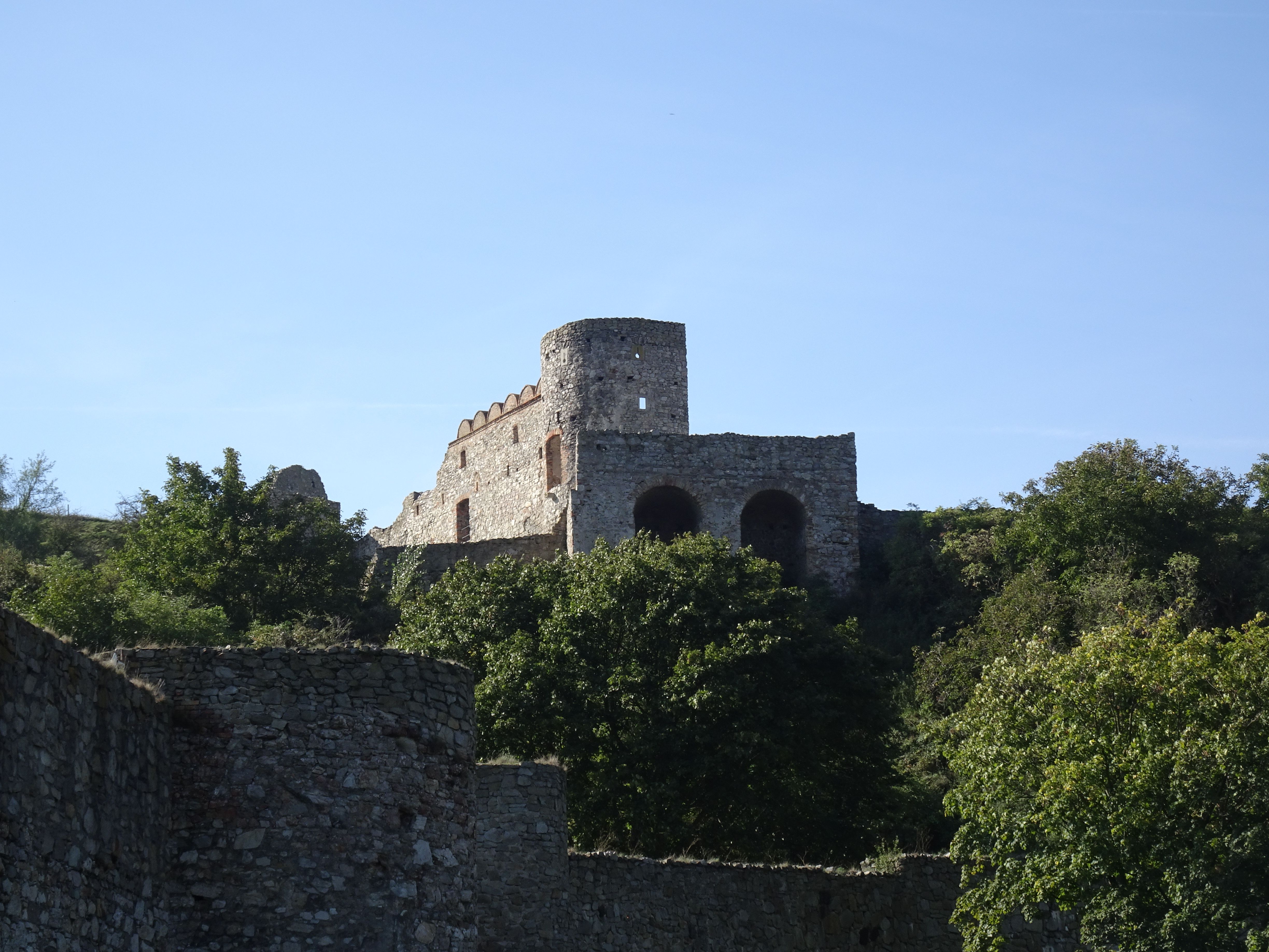 Goat Castle